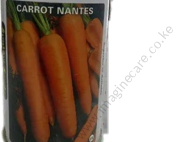 Carrot Nantes