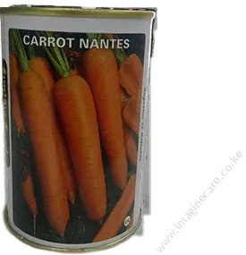 Carrot Nantes