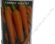 Carrot Nantes