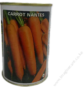 Carrot Nantes