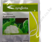 Andromenda F1 cauliflower 2,500 seeds (10g)