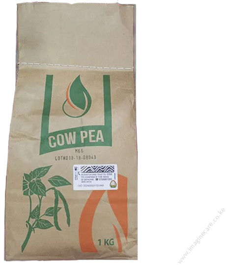 Cow pea M66