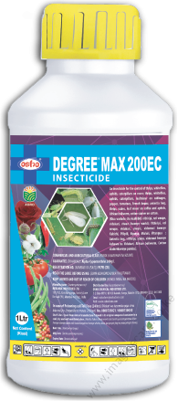 Degree-Max (2)