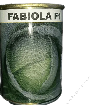 Cabbage Fabiola F1
