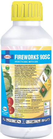 Fireworks (1)