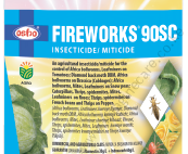 Fireworks (4)