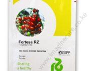 tomato FORTESA RZ F1