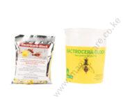 Fruit Fly Trap Container