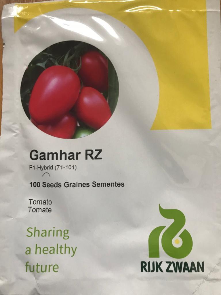 Tomato GAMHAR RZ F1