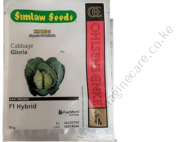 Gloria F1 Cabbage