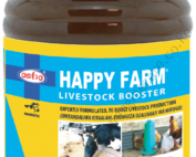 Happy-Farm (2)