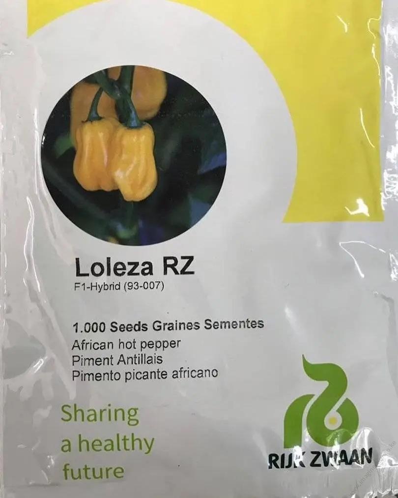 Chilli LOLEZA RZ F1