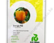 Sweet Pepper ILANGA RZ F1
