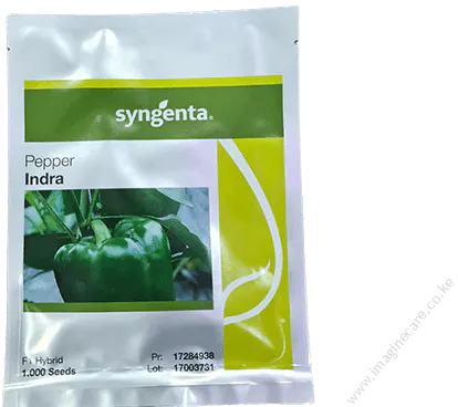 Indra F1 1000 seeds