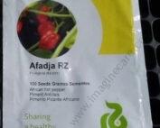 Chilli AFADJA RZ F1