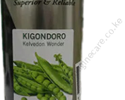 Peas Kelvedon Kigondoro