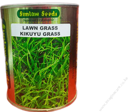 Kikuyu lawn grass