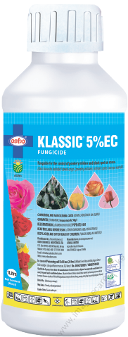 Klassic (1)