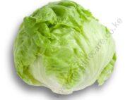 Lettuce BRUMA RZ
