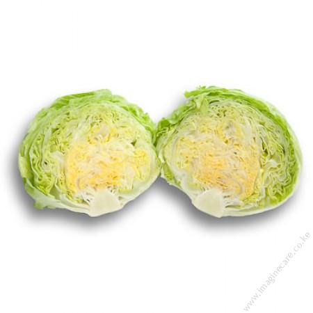 Lettuce BRUMA RZ 1000seeds - Image 3