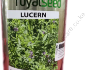 Alfafa Lucern 250g
