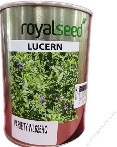 Alfafa Lucern 250g