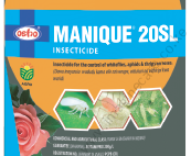 Manique