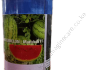 Maridadi F1 watermelon