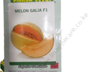 Sweet Melon Galia F1