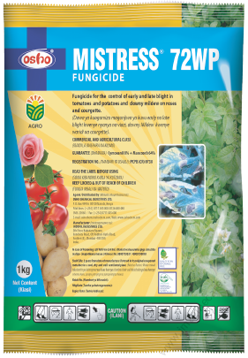 Mistress (1)