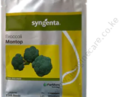 Broccoli Montop F1