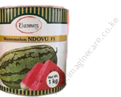 Ndovu F1 Watermelon
