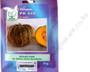 Hybrid Pumpkin PK 449-