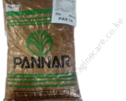 Pan 14- Yellow Maize