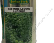 Pasture Legume