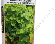 Pasture Legume Desmodium Green Leaf