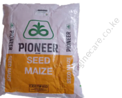 Pioneer PHB 3253 Maize