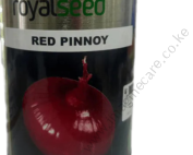 Royal Seed Red Pinnoy onion