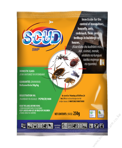Scud 5 WP