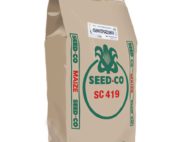 SC Duma 43 Maize