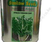 Spinach Fordhook Giant