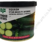 Courgette Star 8023