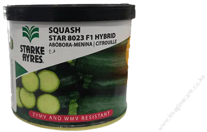 Courgette Star 8023