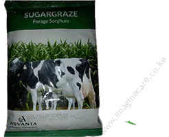 Advanta Sugargraze- Forage Sorghum