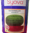 Watermelon Sukari F1 - 250g