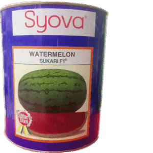 Watermelon Sukari F1 - 250g