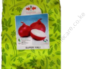 Super Yali onion 100g
