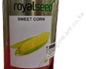 Royal Seed Sweet Corn