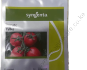 Tylka F1 tomato 1000seeds
