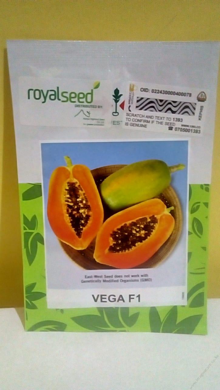 Vega F1 Papaya
